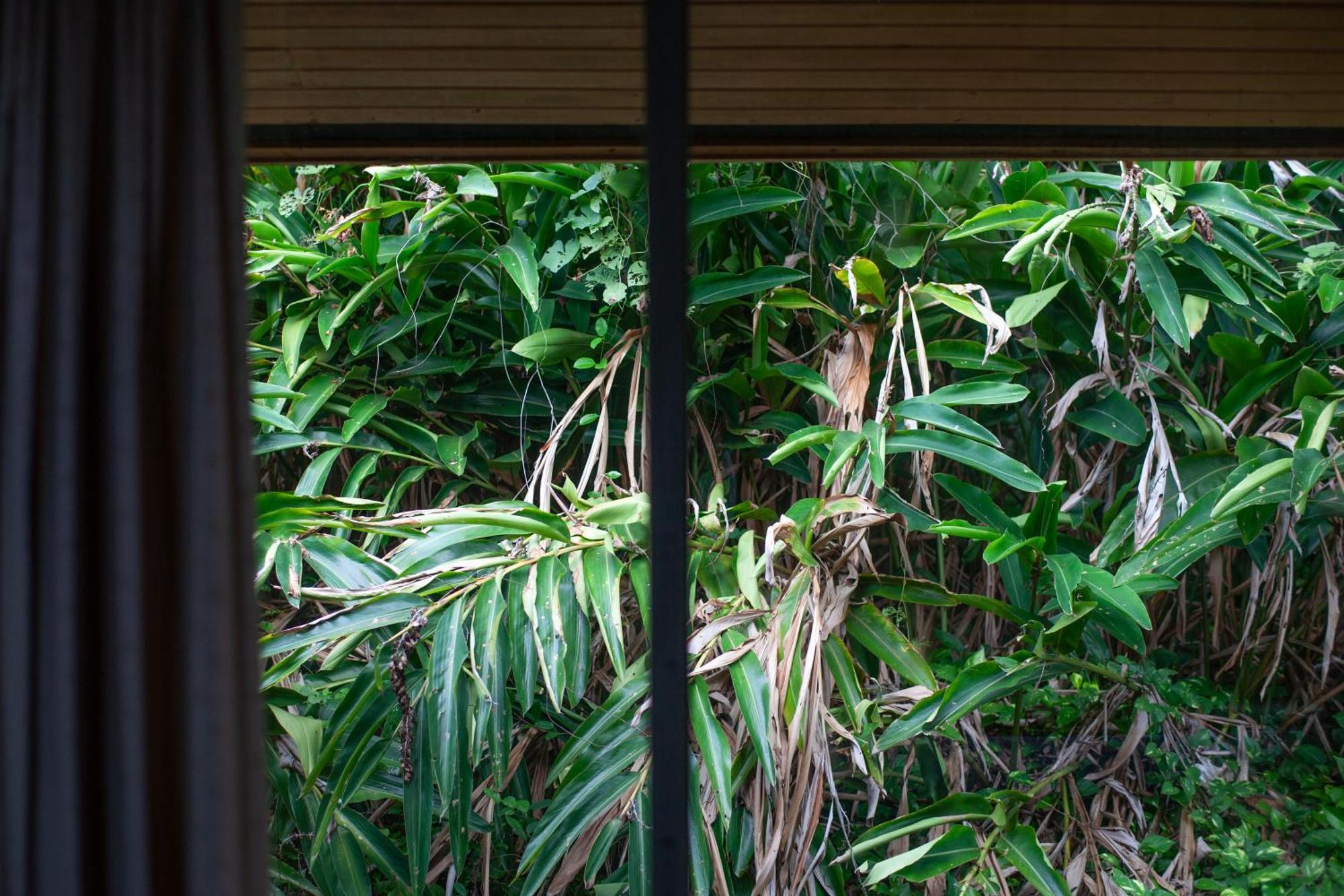 Frenchman'S Cove Resort Port Antonio Bagian luar foto